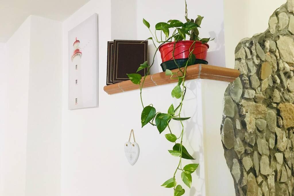 Apartment Torre San Giovanni, My Cozy Place...